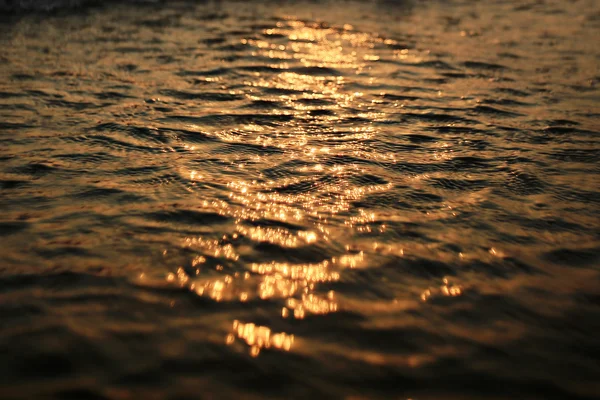 夏で海に沈む夕日 — ストック写真