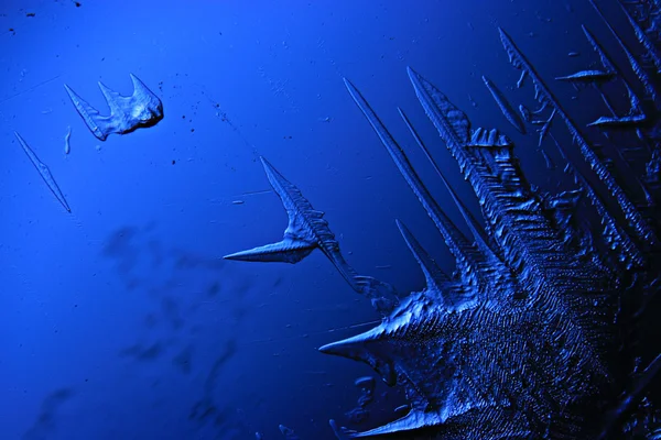 Textura de hielo azul — Foto de Stock
