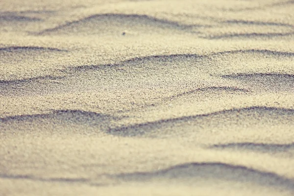 Çöl ve kum tepeleri doku — Stok fotoğraf