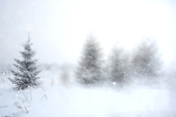 Зимовий фон з розмитим лісом — стокове фото