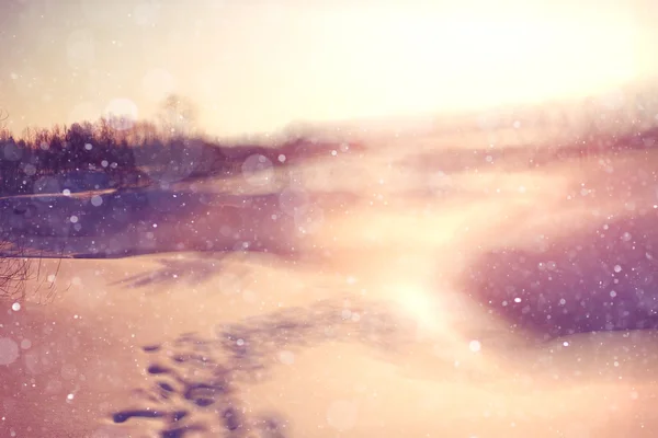 Winter Hintergrund mit verschwommenem Wald — Stockfoto