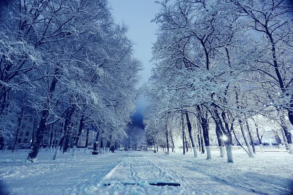 Noční Zimní krajina — Stock fotografie