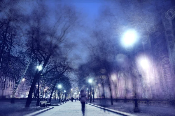 Night winter landscape in the alley — Stock Photo, Image