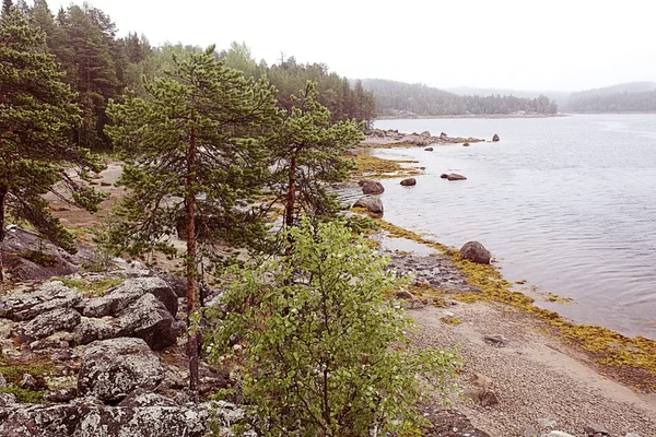 Paysage du début du printemps — Photo