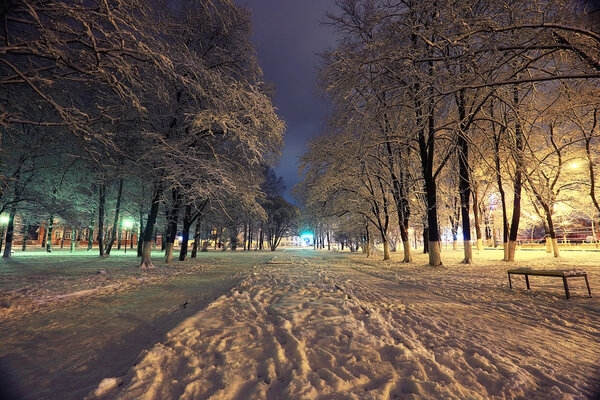 Night landscape in winter city park