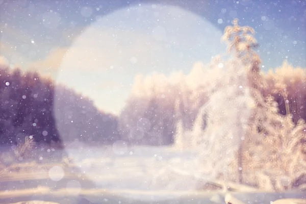 Размытый зимний фон — стоковое фото