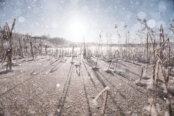 Vinterdag och landskap — Stockfoto