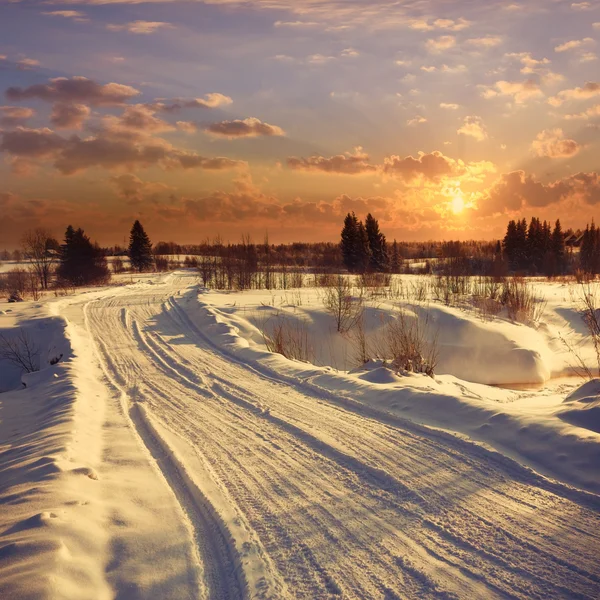 Puesta de sol de invierno en el bosque —  Fotos de Stock