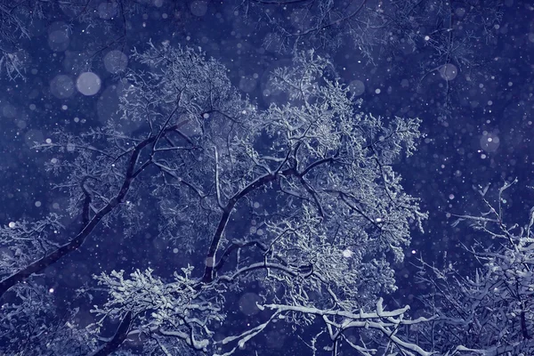冬天的夜晚背景 — 图库照片