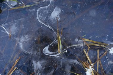 desen buz sonbaharı, soyut buz gibi soğuk arkaplan