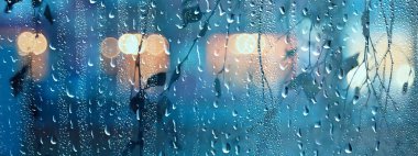 Dalların ıslak cam manzarası sonbaharda park yeri, soyut arkaplan damlaları Kasım akşamında pencere kenarında