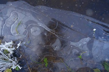 desen buz sonbaharı, soyut buz gibi soğuk arkaplan