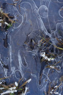 desen buz sonbaharı, soyut buz gibi soğuk arkaplan