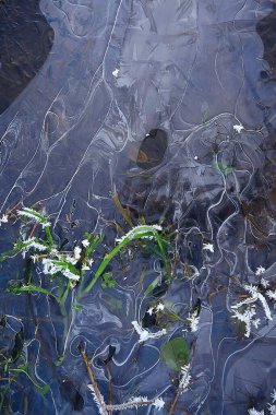 desen buz sonbaharı, soyut buz gibi soğuk arkaplan