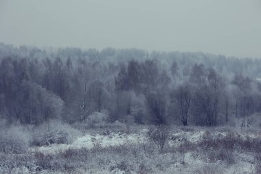 manzara kış ormanı, mevsimlik güzel manzara karlı orman aralık doğa