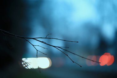 Yapraksız dallar Sonbahar akşamı, soyut mevsimsel hüzün