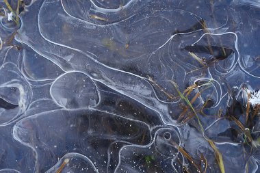 desen buz sonbaharı, soyut buz gibi soğuk arkaplan