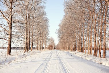Kış yolu soyut manzara, mevsimlik patika aralık karı