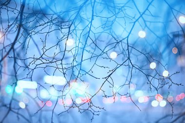 Kar taneleri kış dalları soyut arka plan, tatil yeni yıl, soğuk hava karı