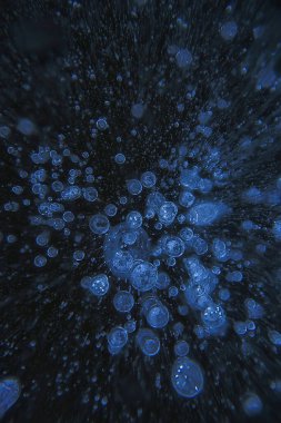 Buz kabarcıkları altında hava, soyut mevsimsel kış soğuk arka plan doğa dışında