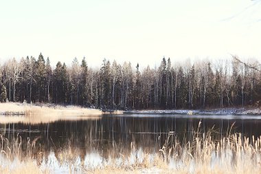 Kış orman manzarası karla kaplı, Aralık noeli doğa beyaz arka plan