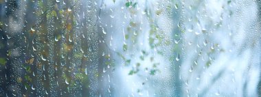 Dalların ıslak cam manzarası sonbaharda park yeri, soyut arkaplan damlaları Kasım akşamında pencere kenarında