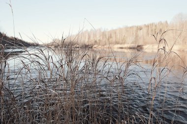 Toprak zemini ile kaplanmış dallar, soyut manzara kar, kış soğuğu.