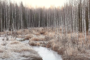 Buz gibi nehir Kasım ayı, mevsimlik doğa kışı.