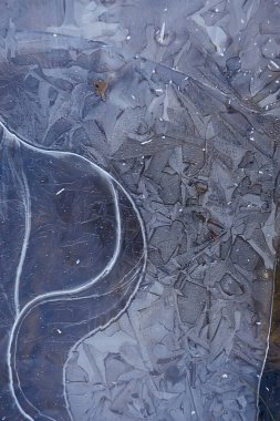 desen buz sonbaharı, soyut buz gibi soğuk arkaplan