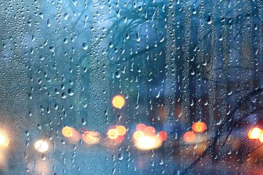 Dalların ıslak cam manzarası sonbaharda park yeri, soyut arkaplan damlaları Kasım akşamında pencere kenarında