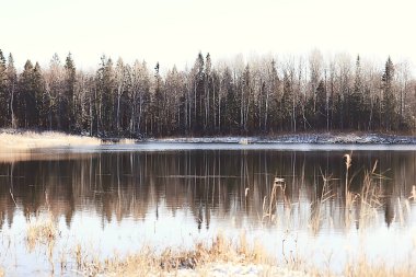 Kış orman manzarası karla kaplı, Aralık noeli doğa beyaz arka plan
