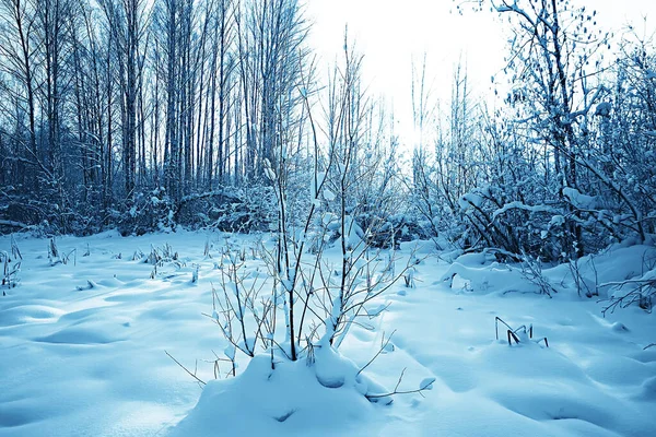 Branches Couvertes Givre Paysage Abstrait Neige Hiver Nature Givre — Photo