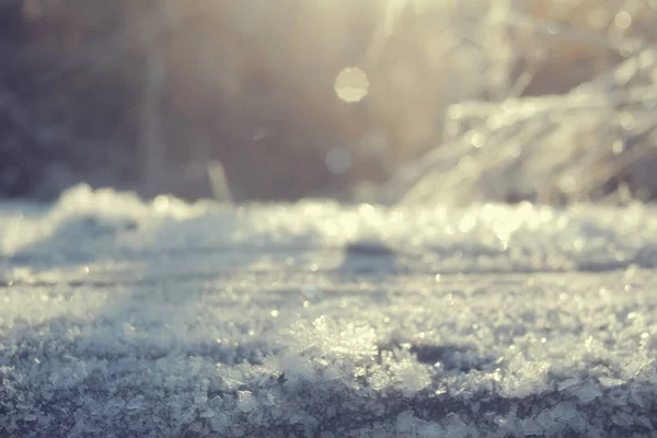 Texture Ice Autumn Abstract Ice Frost Frosty Background — Stock Photo, Image