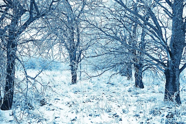 Noviembre Parque Paisaje Navidad Nieve Tiempo Parque Ciudad Con Estanque —  Fotos de Stock