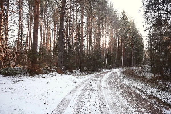 Kış orman manzarası karla kaplı, Aralık noeli doğa beyaz arka plan