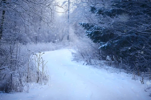 Vinter Väg Abstrakt Landskap Säsongsväg December Snö — Stockfoto