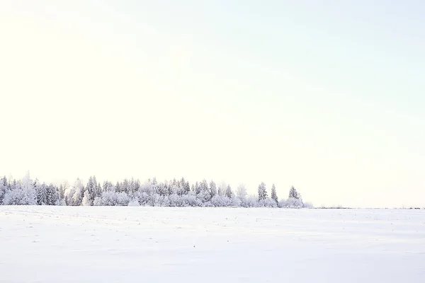 Paisaje Bosque Invierno Estacional Hermosa Vista Bosque Nevado Diciembre Naturaleza — Foto de Stock