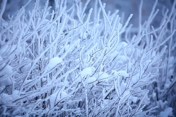 霜の背景 抽象的な風景雪の冬の自然霜で覆われた枝 — ストック写真