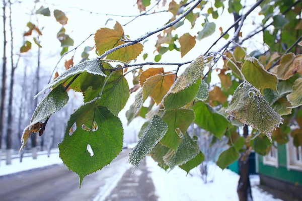 November Parklandschaft Weihnachtliches Schneewetter Stadtpark Mit Teich — Stockfoto