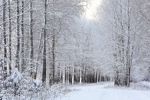 Zima Droga Abstrakcyjny Krajobraz Sezonowa Ścieżka Grudzień Śnieg — Zdjęcie stockowe