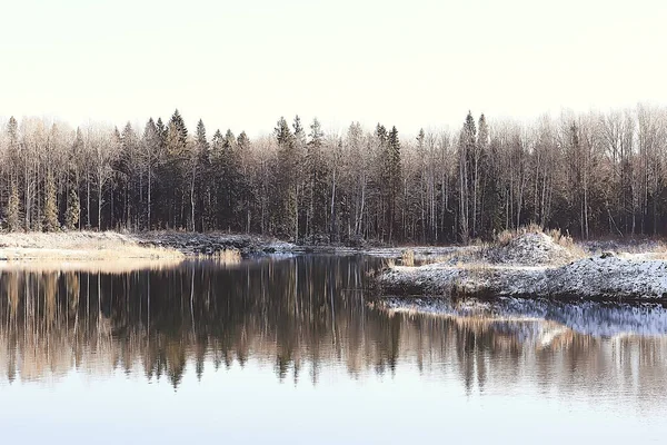 Kış orman manzarası karla kaplı, Aralık noeli doğa beyaz arka plan