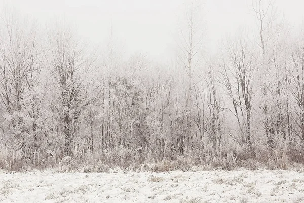 Χειμερινό Δάσος Τοπίο Που Καλύπτεται Χιόνι Δεκέμβριος Χριστούγεννα Φύση Λευκό — Φωτογραφία Αρχείου