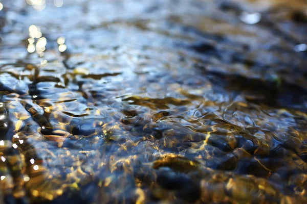 清澈透明的淡水河底蕴大自然的抽象 — 图库照片