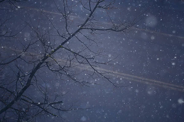 Grenar Täckta Med Hes Bakgrund Abstrakt Landskap Snö Vinter Natur — Stockfoto