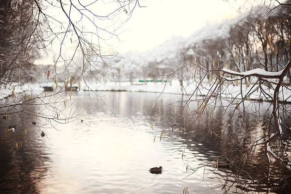 Novembro Parque Paisagem Natal Neve Tempo Parque Cidade Com Uma — Fotografia de Stock