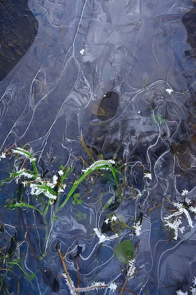 desen buz sonbaharı, soyut buz gibi soğuk arkaplan