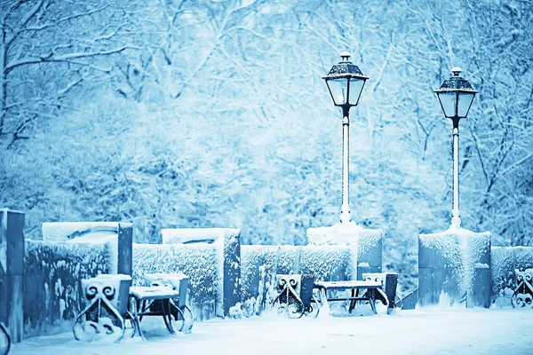 Krajina Lavička Městském Parku Zimní Mráz Vánoční Ráno Městě — Stock fotografie