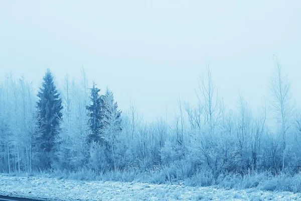 Ветви Покрытые Инеем Абстрактный Пейзаж Снег Зимние Морозы — стоковое фото