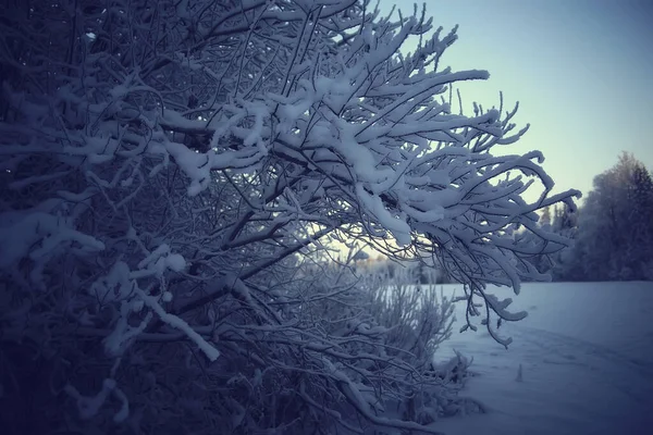 Χειμερινό Δάσος Τοπίο Που Καλύπτεται Χιόνι Δεκέμβριος Χριστούγεννα Φύση Λευκό — Φωτογραφία Αρχείου