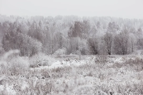 Invierno Bosque Paisaje Cubierto Nieve Diciembre Navidad Naturaleza Fondo Blanco — Foto de Stock